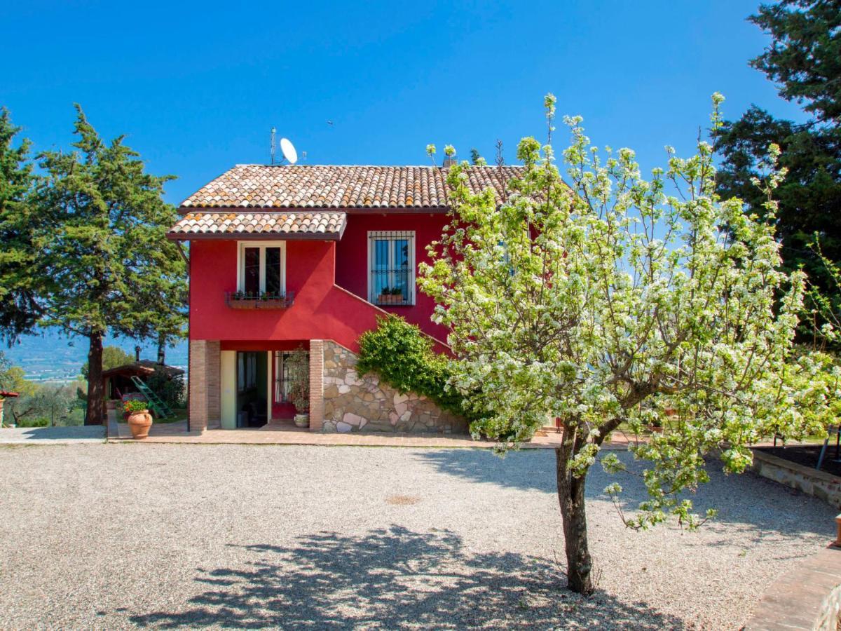 Holiday Home La Letizia By Interhome Collemancio المظهر الخارجي الصورة